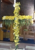 Daffodils